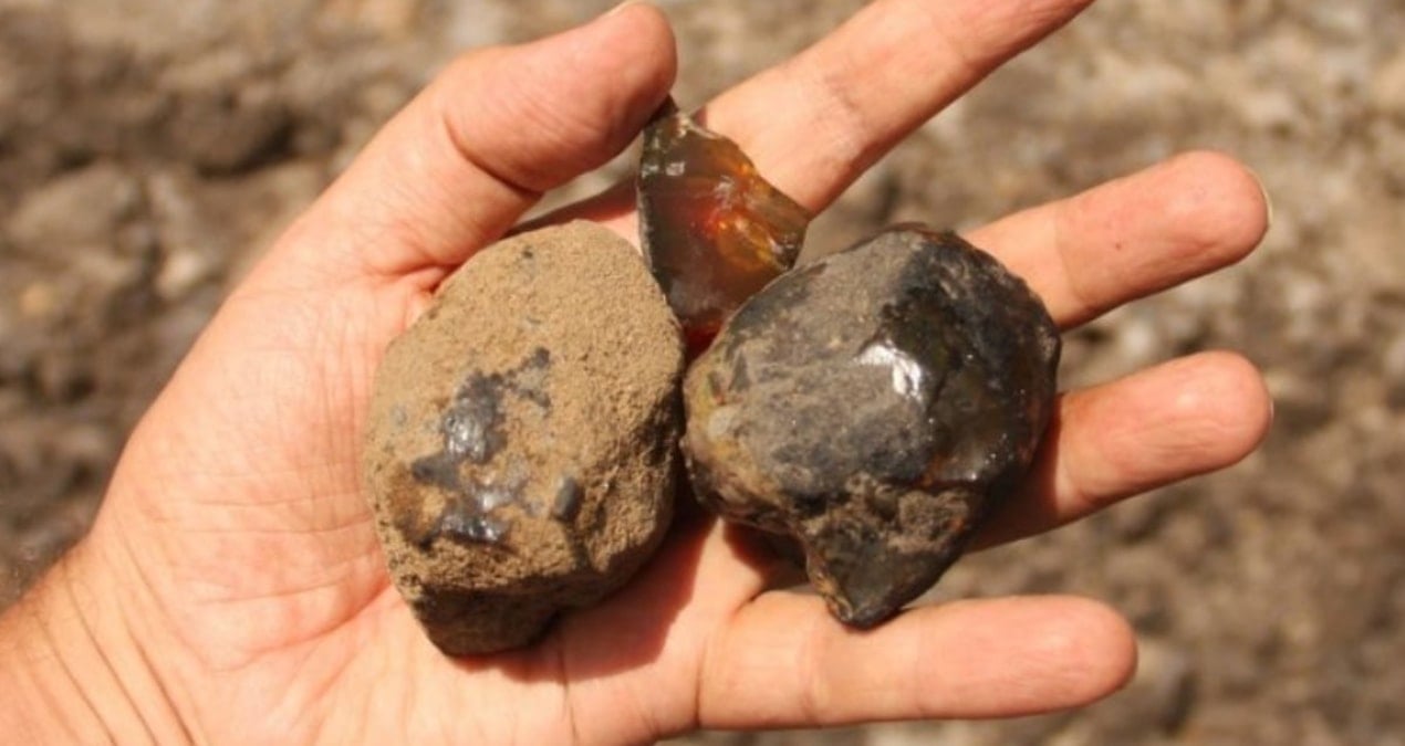 112 milyon yillik kehribarda buyuk bulus bir ilk oldu fvdn5dIu