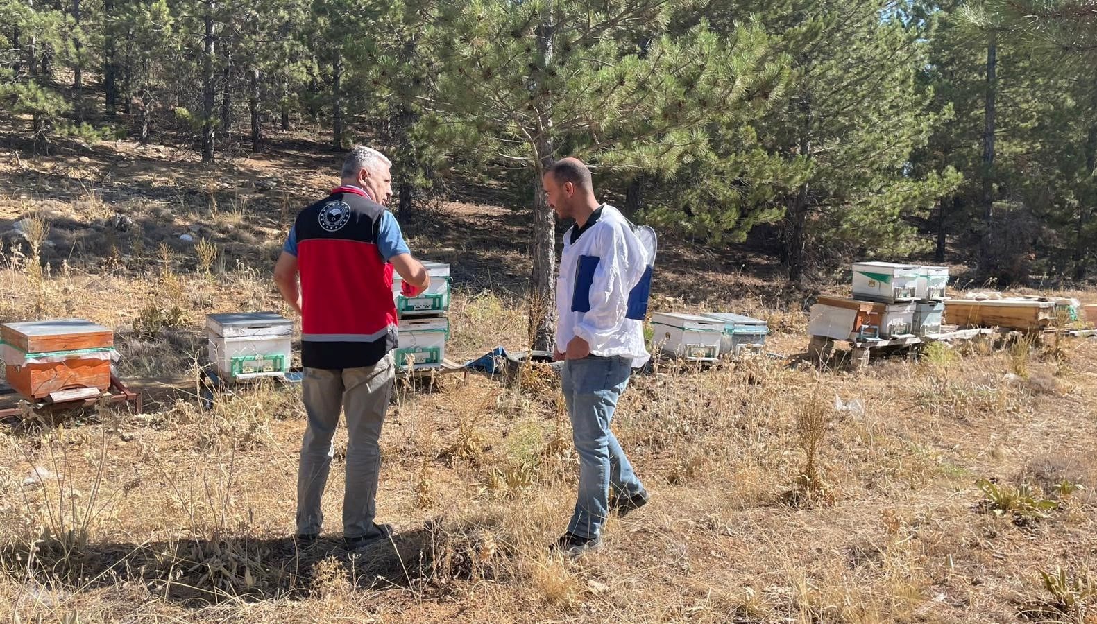 beysehirde arili kovan sayimlari yapiliyor UA77PJWk