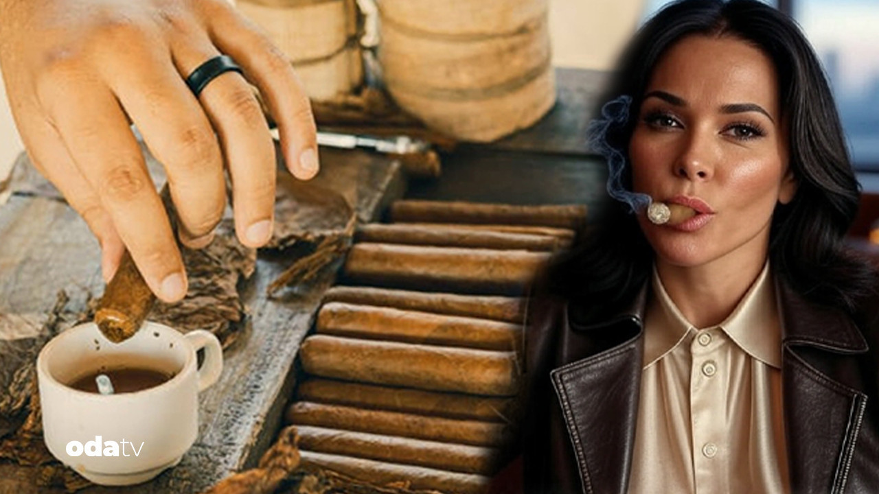 onlar habanosun gizli kahramanlari puro mesleklerinin dunyasi nS5qN4eJ