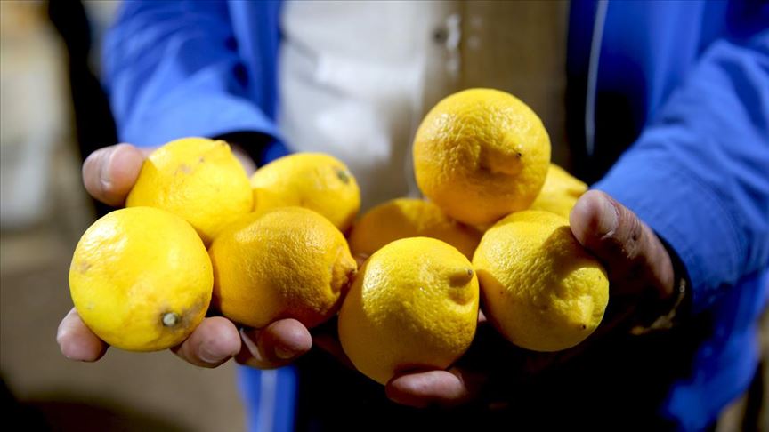 Limonun İnanılmaz Faydaları
