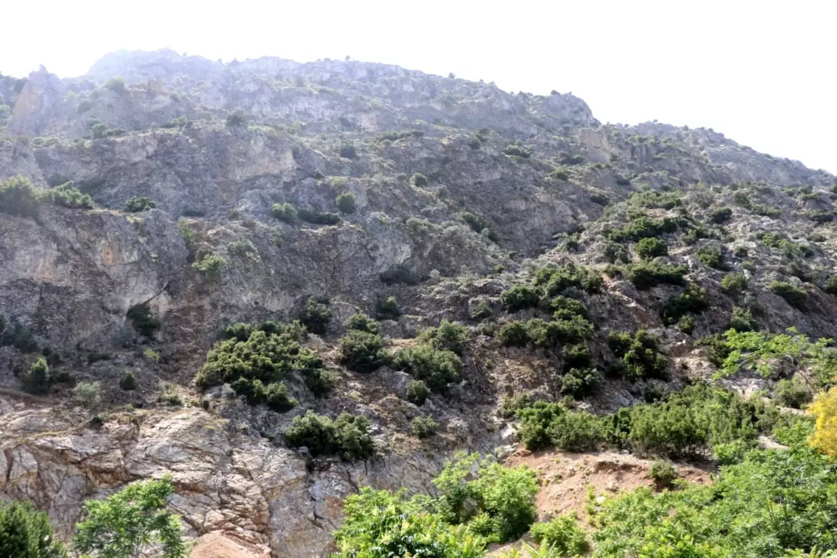 ispartada kaybolan 75 yasindaki adam icin arama calismalari baslatildi WCfHK6ae.jpg