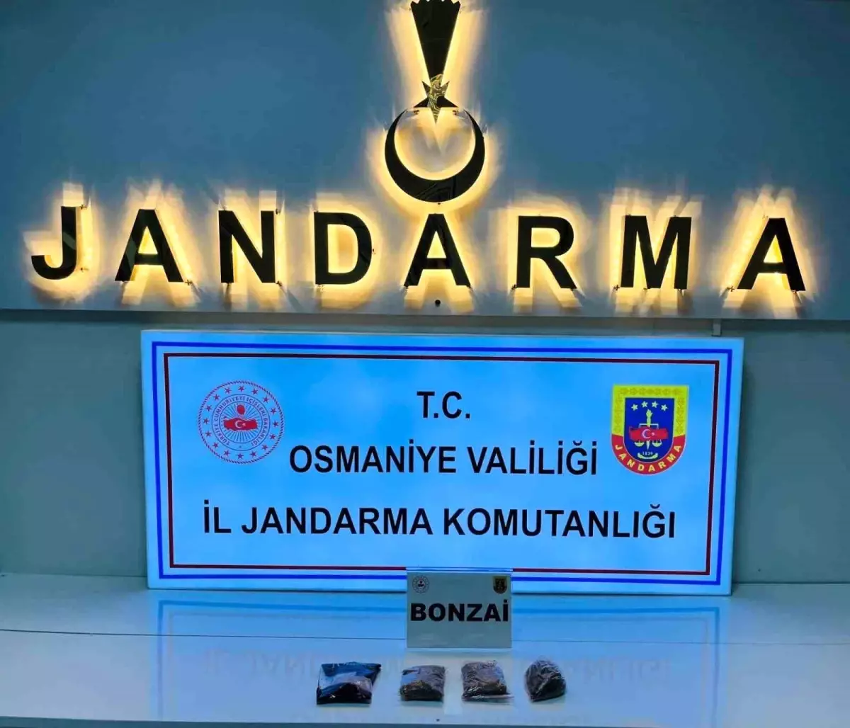 osmaniyede jandarmadan buyuk operasyon 124 supheli gozaltina alindi x4UnJLyq.jpg