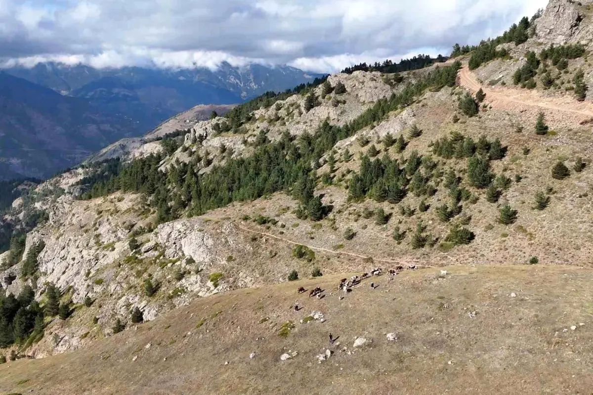 zorlu cografyada basari hikayesi N67pdyOf