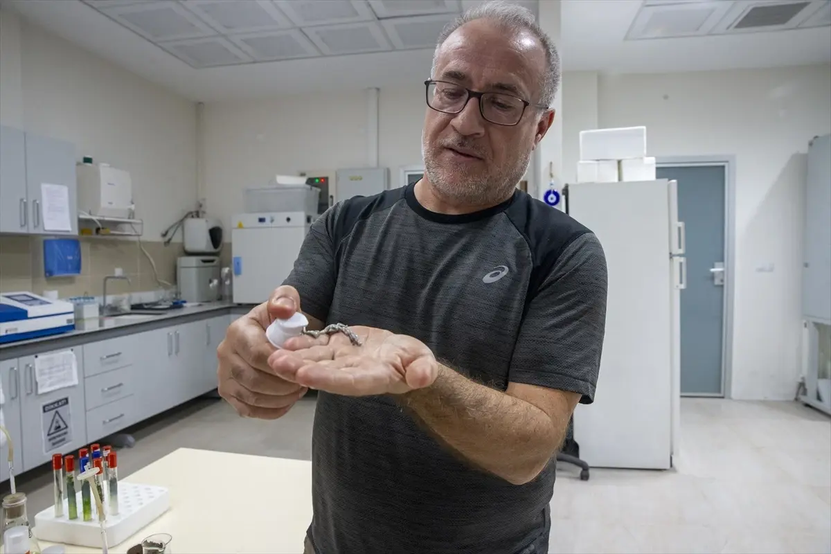 turk akademisyenler murekkep baligindan cilt onarici ve koruyucu gunes kremi uretti ZXpAHrpZ.jpg