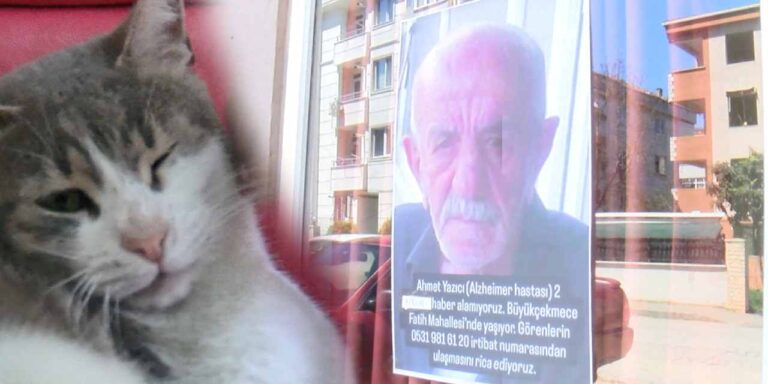 kayip-alzheimer-hastasi-40-gundur-bulunamadi-yakinlari-ve-kedisi-zilli-onu-bekliyor-g4tkksre